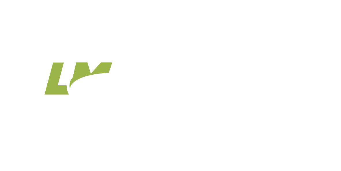 Transportes Luis Montoya